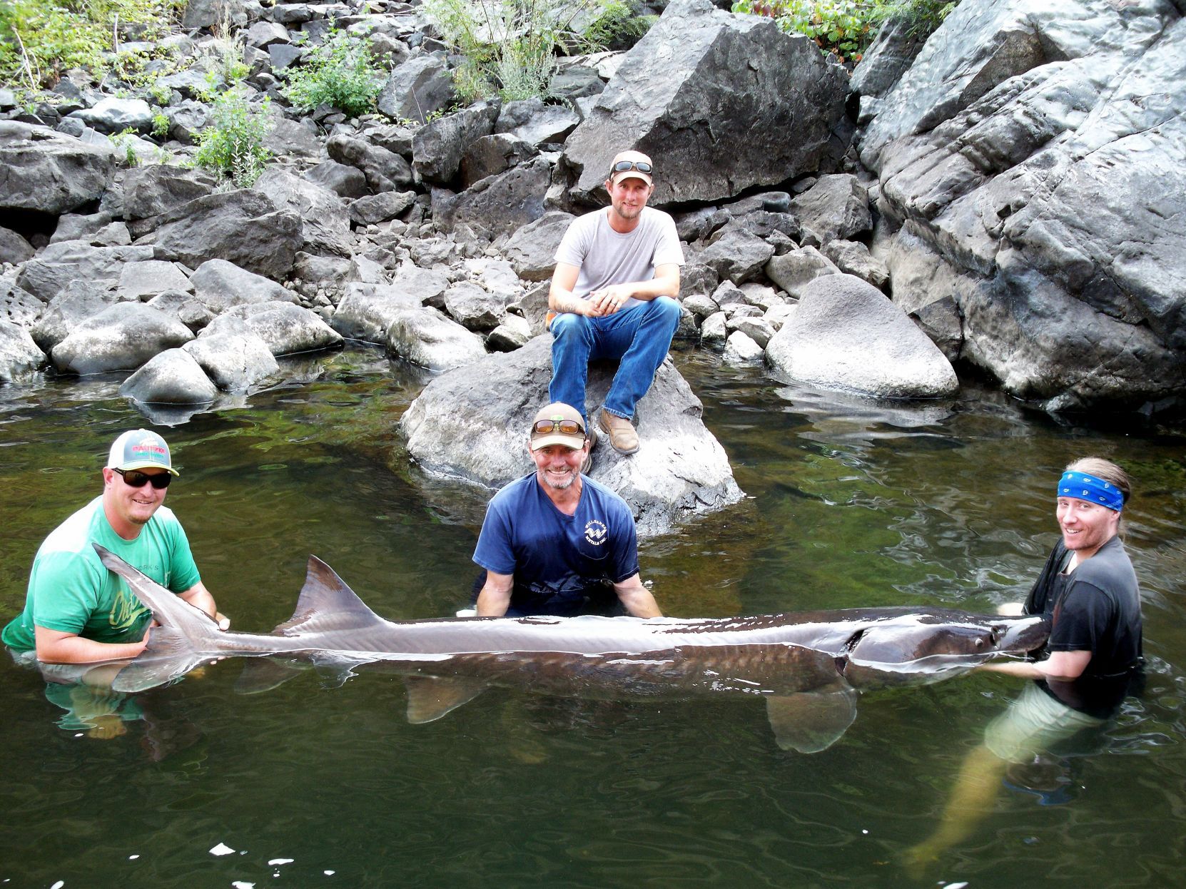 Record fish